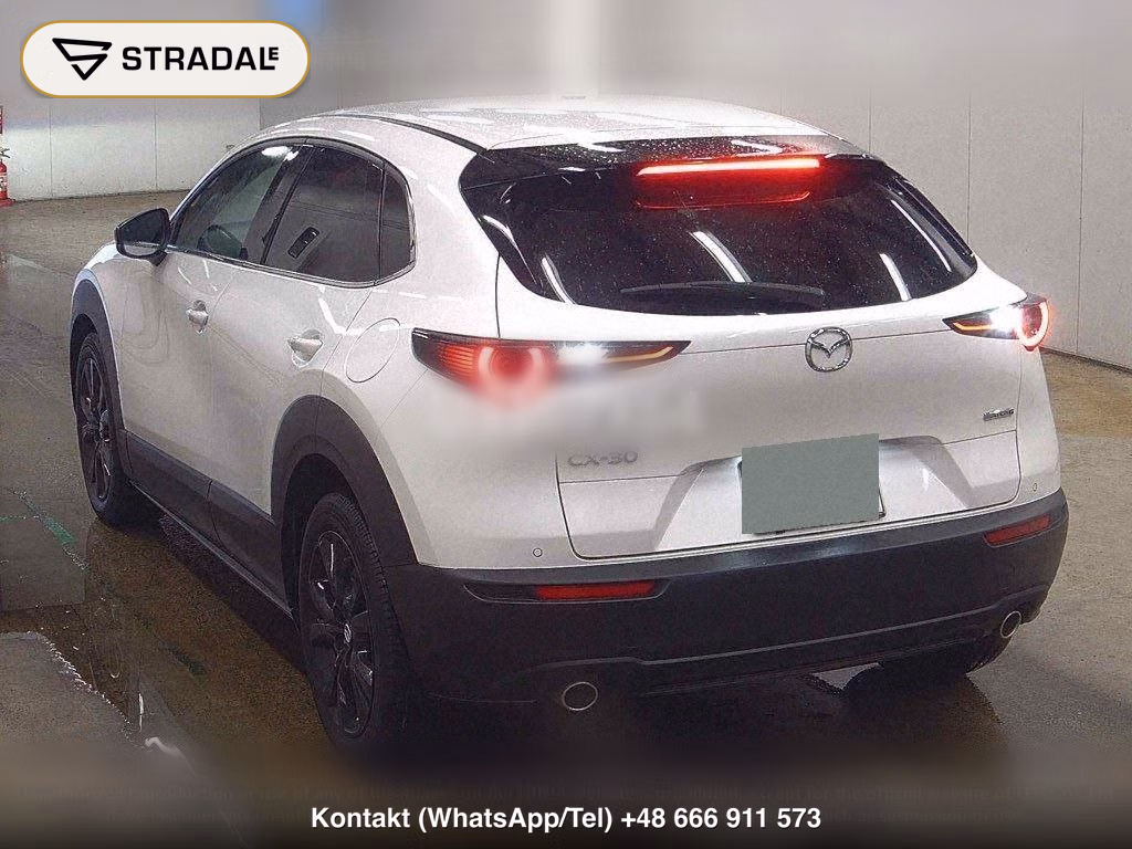 MAZDA CX-30 20S RETRO SPORTS EDITION, miniaturka 3