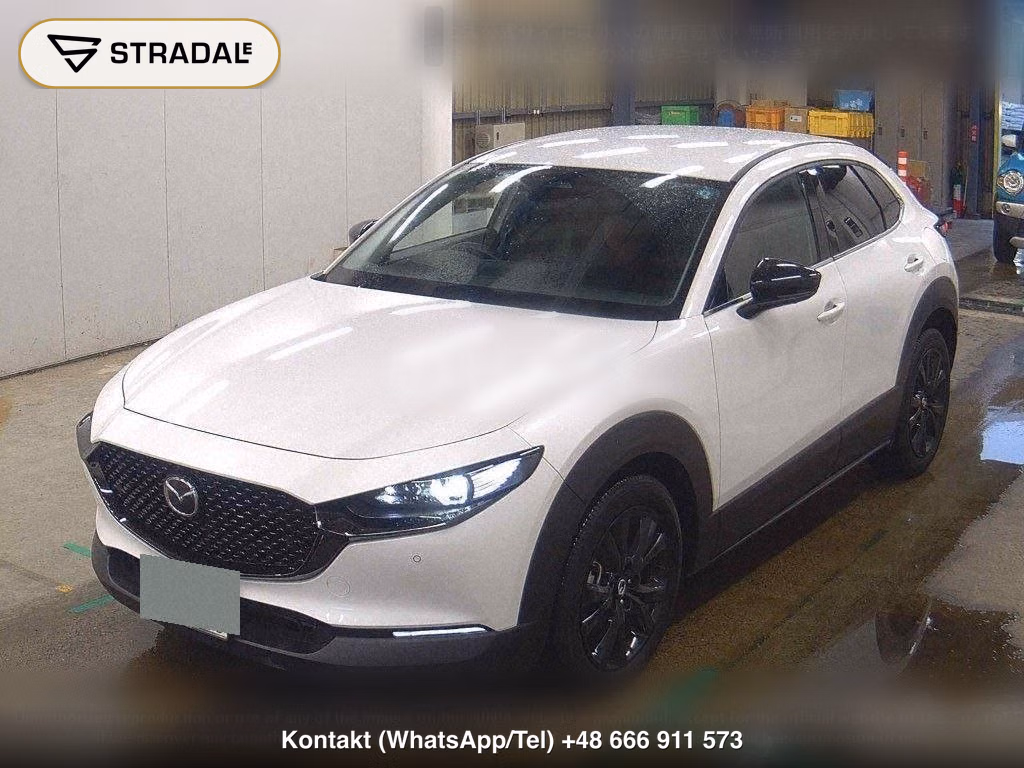 MAZDA CX-30 20S RETRO SPORTS EDITION, miniaturka 5