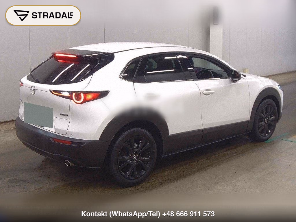 MAZDA CX-30 20S RETRO SPORTS EDITION, miniaturka 6