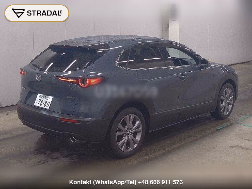 MAZDA CX-30 20S TOURING, miniaturka 6