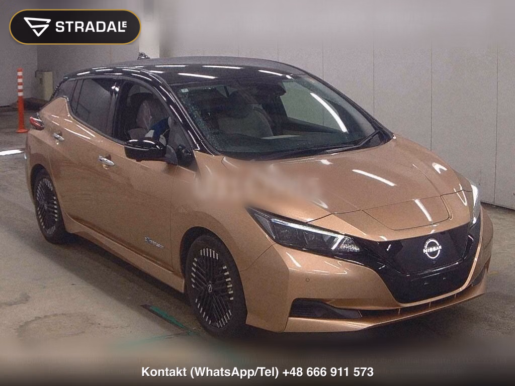 NISSAN LEAF X V SELECTION, miniaturka 2