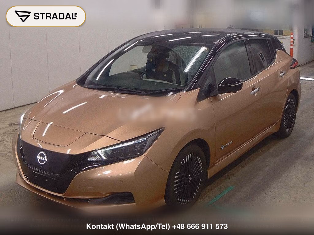 NISSAN LEAF X V SELECTION, miniaturka 5