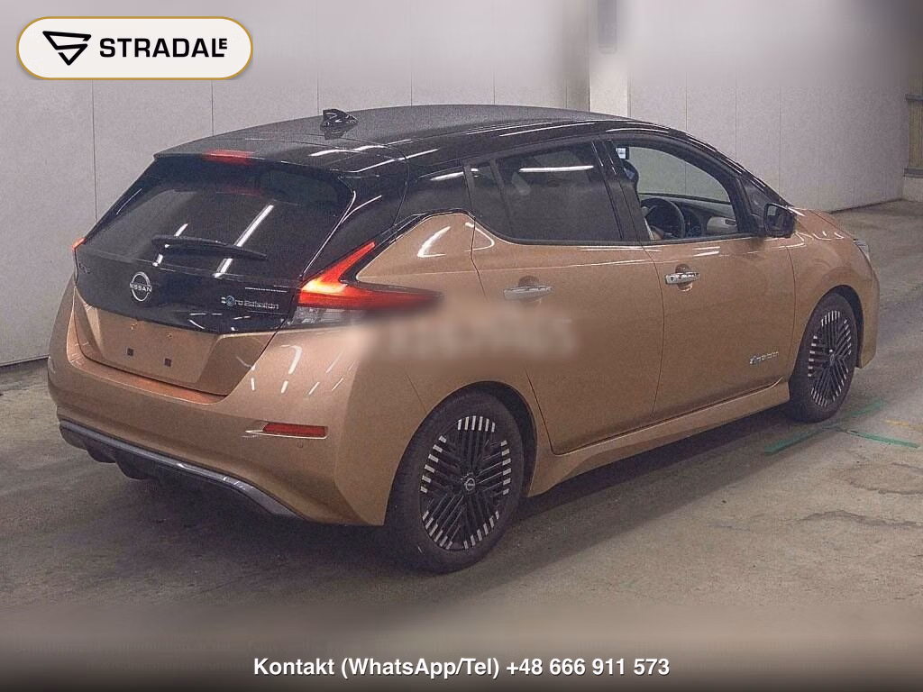 NISSAN LEAF X V SELECTION, miniaturka 6