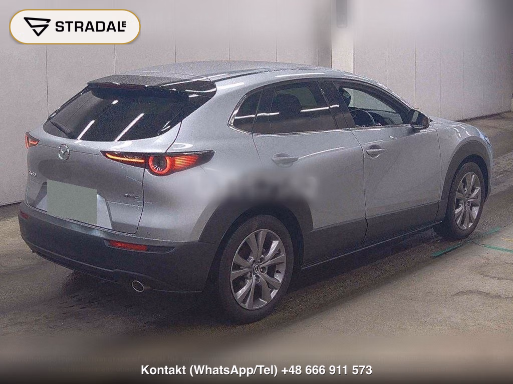 MAZDA CX-30 20S PROACTIVE TOURING SELECTION, miniaturka 6