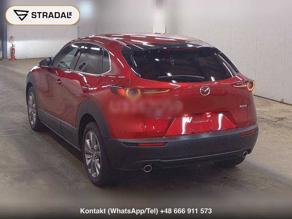 MAZDA CX-30 XD PROACTIVE TOURING SELECTION, miniaturka 3