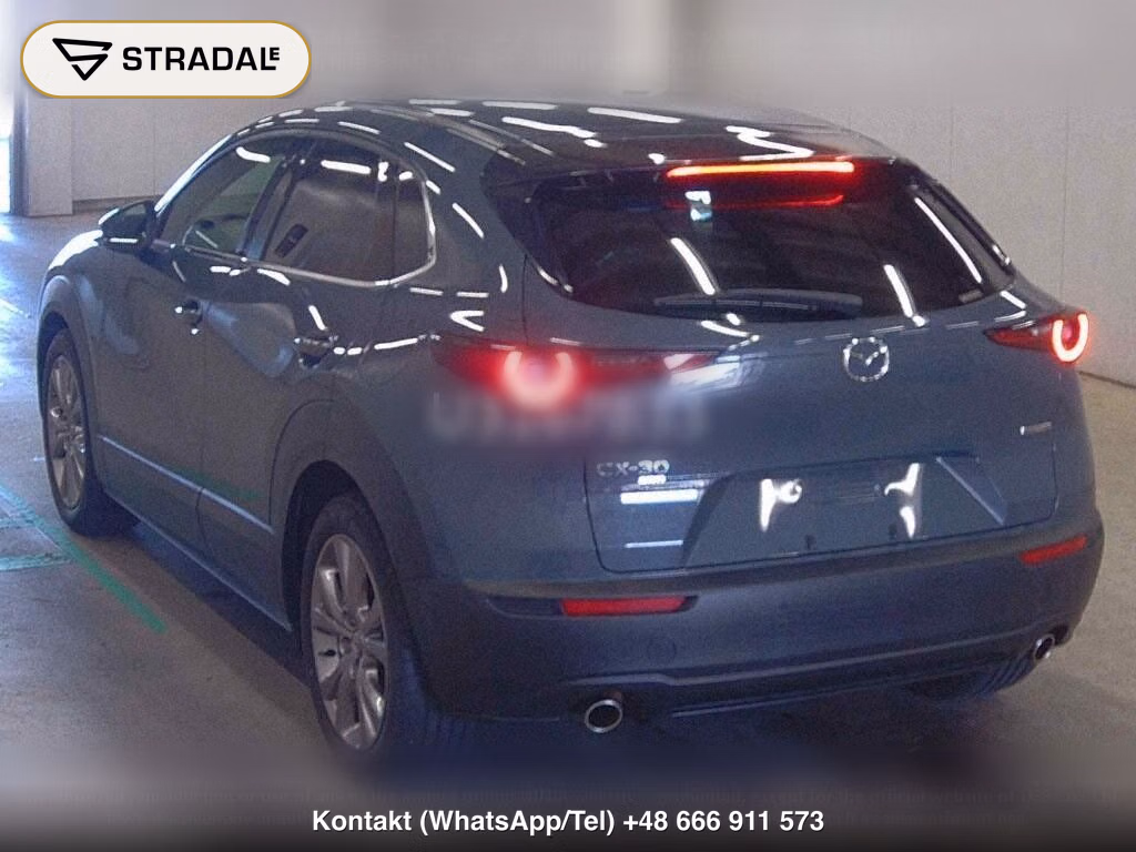 MAZDA CX-30 4WD 20S L PACKAGE, miniaturka 3