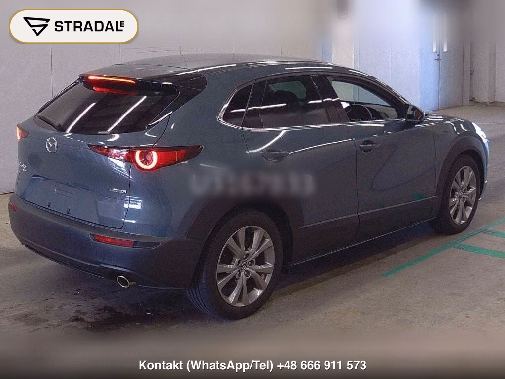 MAZDA CX-30 4WD 20S L PACKAGE, miniaturka 6