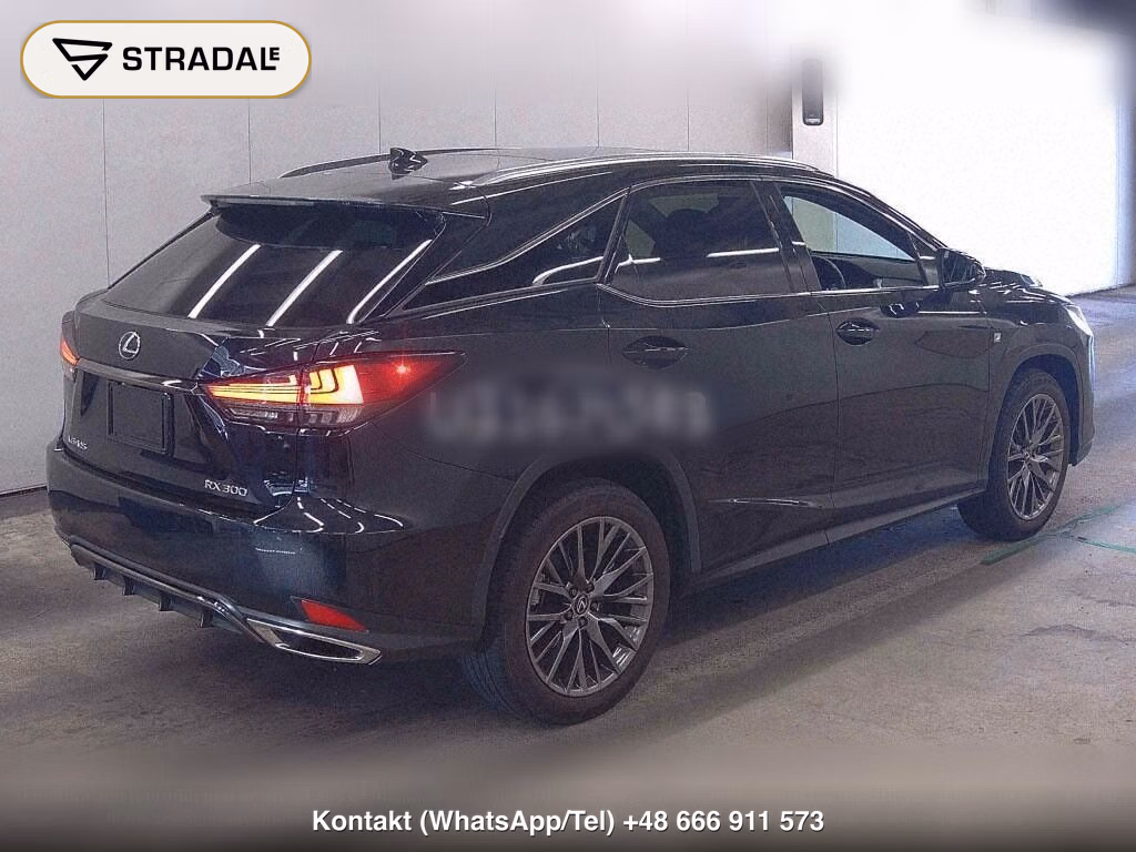 LEXUS RX RX300 F SPORT, miniaturka 6