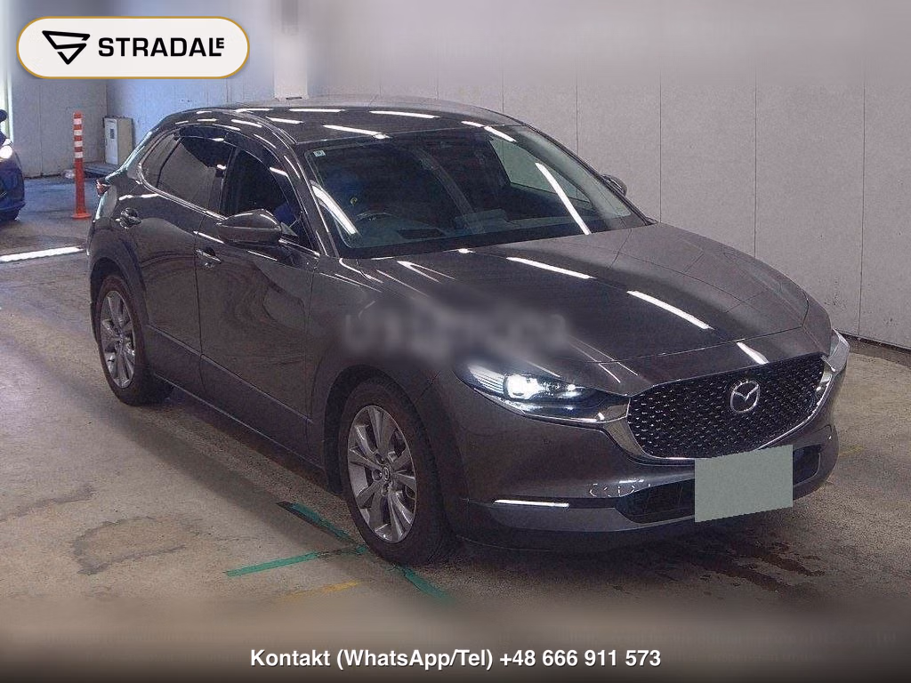MAZDA CX-30 XD PROACTIVE TOURING SELECTION, miniaturka 2