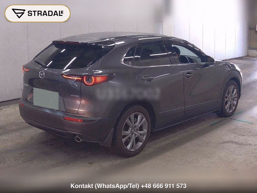 MAZDA CX-30 XD PROACTIVE TOURING SELECTION, miniaturka 6