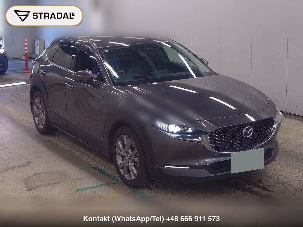 MAZDA CX-30 XD PROACTIVE TOURING SELECTION 2020, aukcja z Japonii, zdjęcie 1