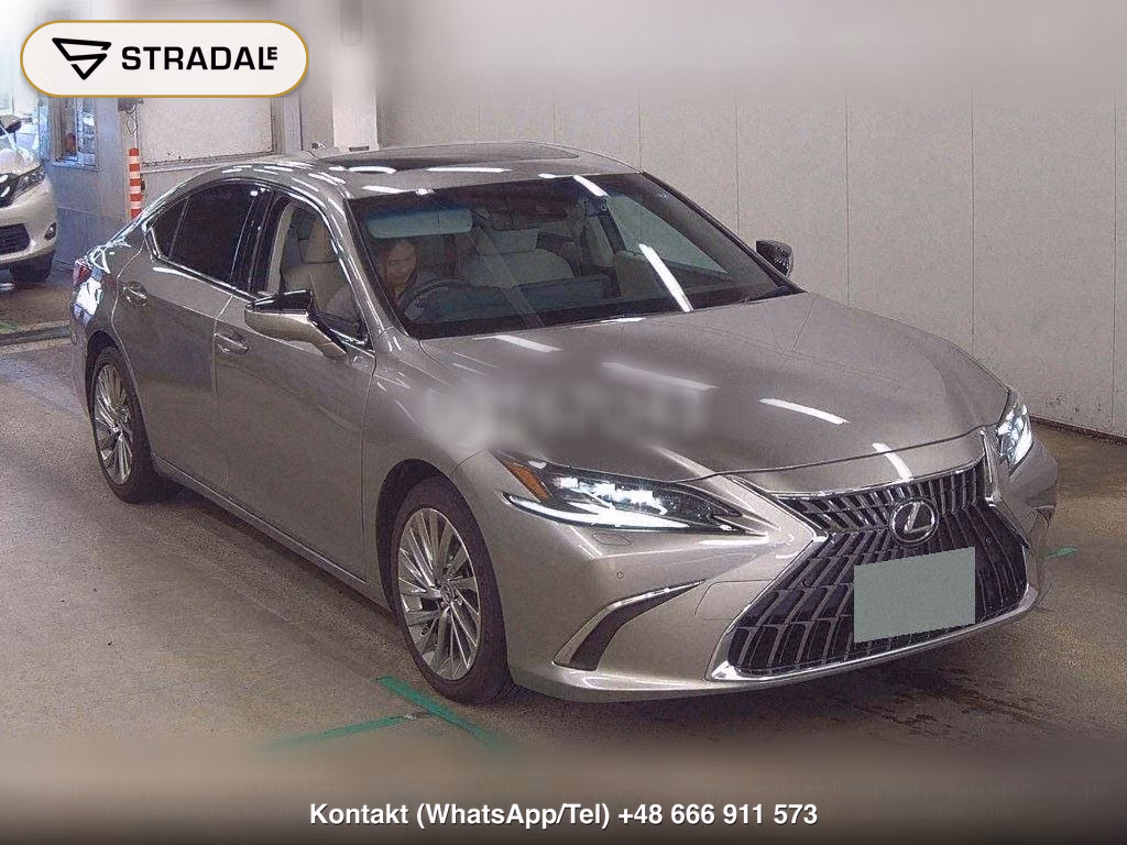 LEXUS ES ES300H VERSION L, miniaturka 2