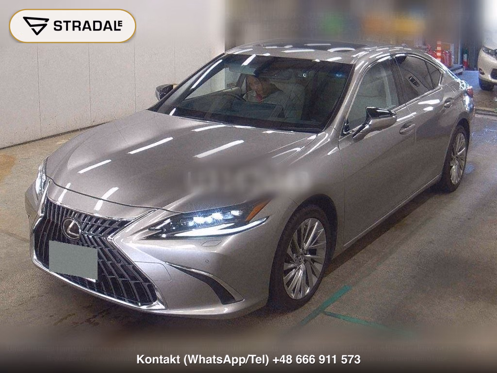 LEXUS ES ES300H VERSION L, miniaturka 5