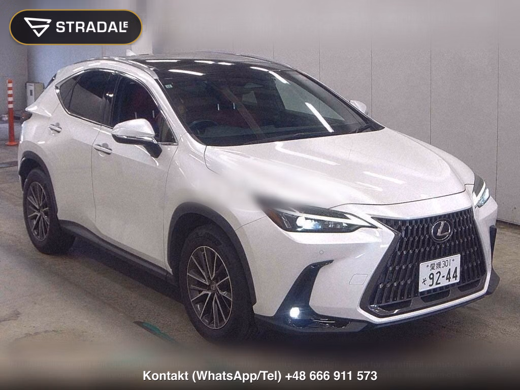 LEXUS NX NX250, miniaturka 2