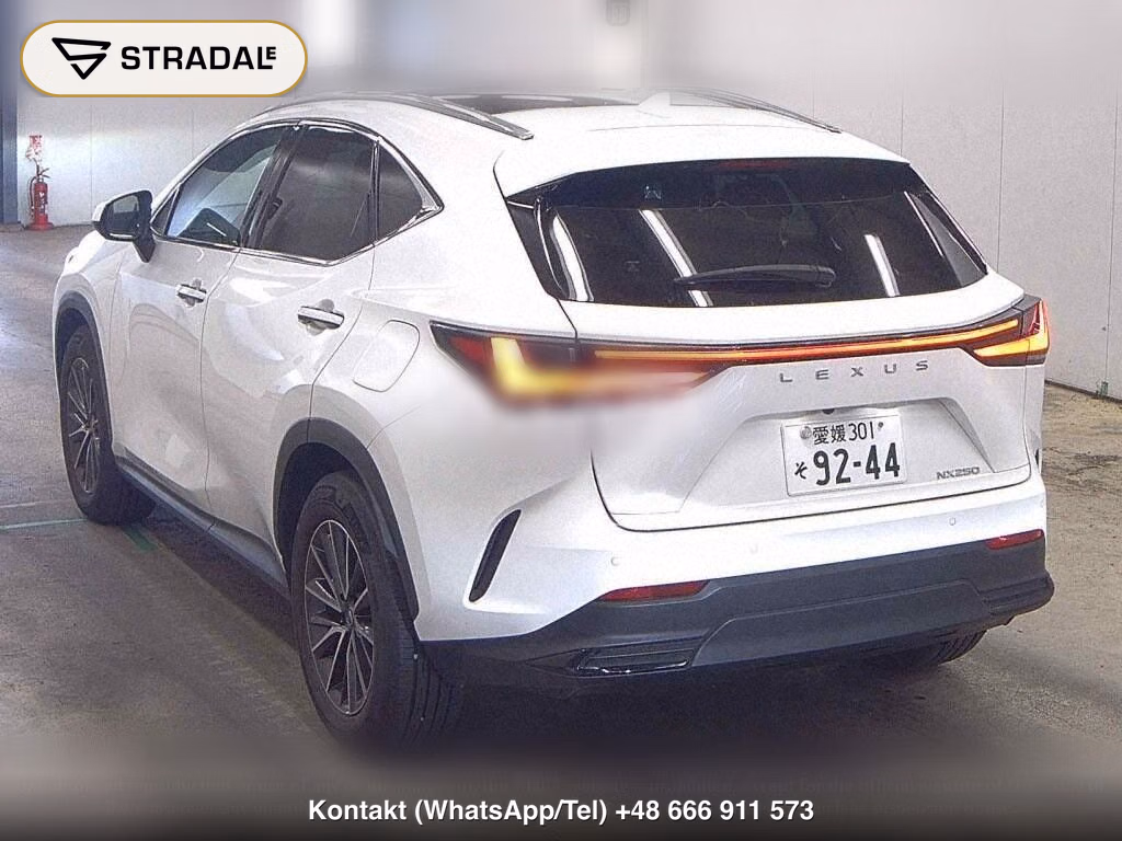 LEXUS NX NX250, miniaturka 3