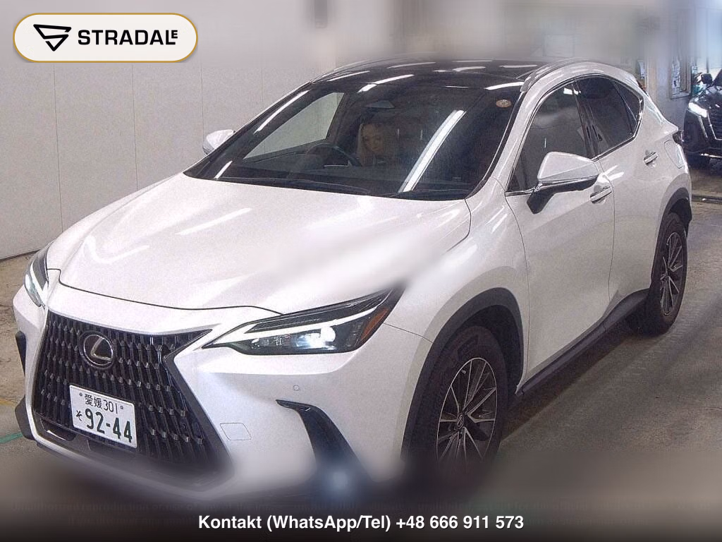 LEXUS NX NX250, miniaturka 5