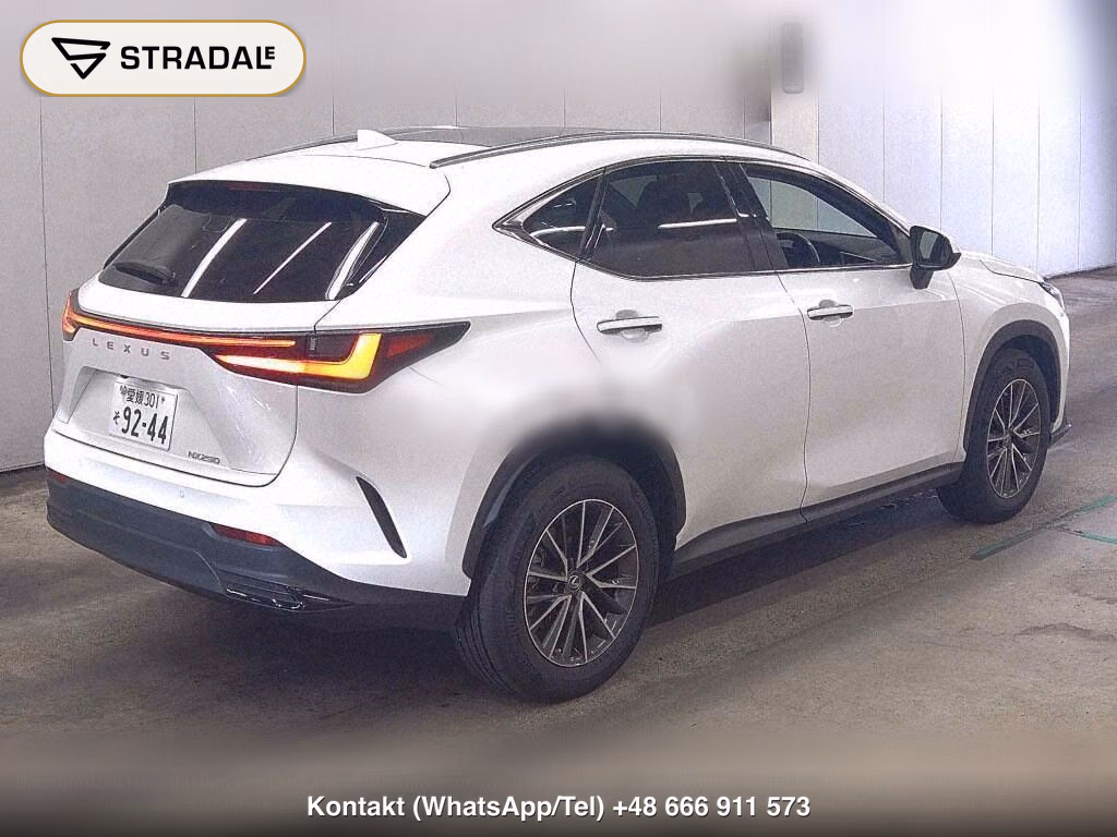 LEXUS NX NX250, miniaturka 6