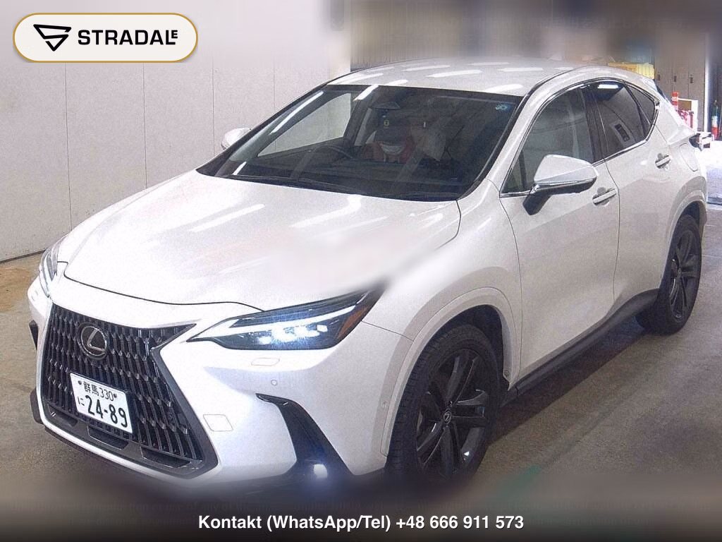 LEXUS NX NX350H VERSION L, miniaturka 5