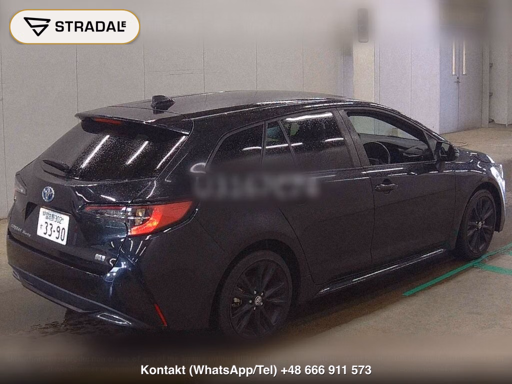 TOYOTA COROLLA TOURING HYBRID WXB 50 MILLION EDITION, miniaturka 6