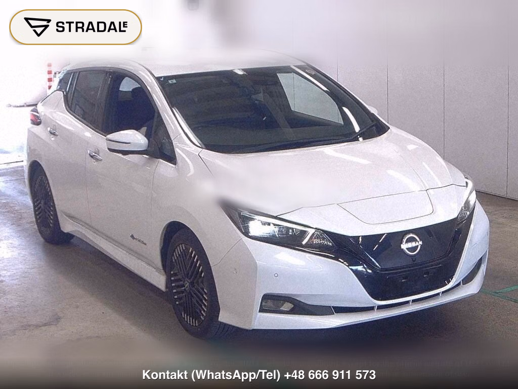 NISSAN LEAF G, miniaturka 2