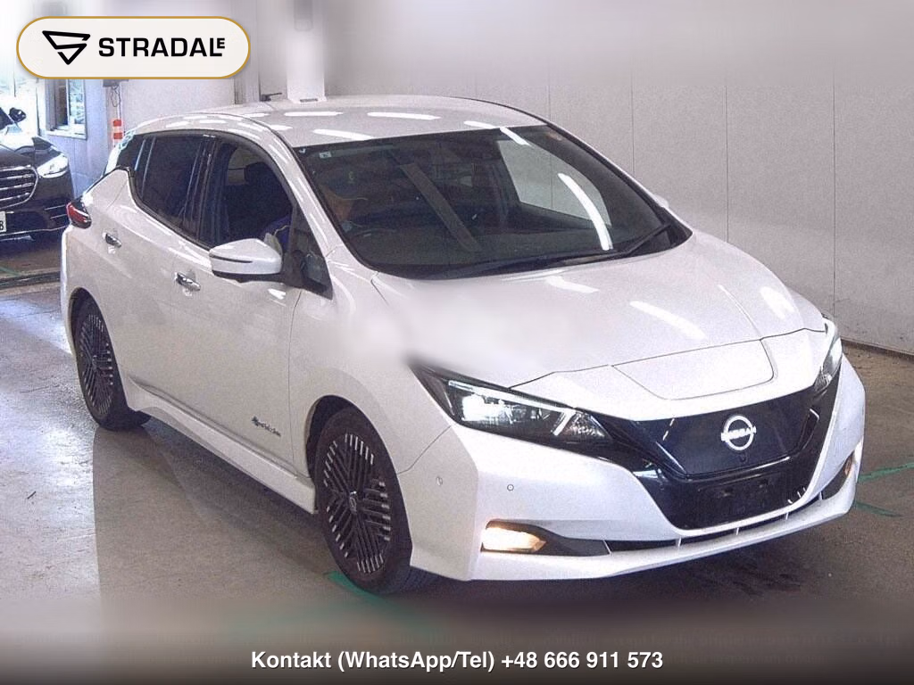 NISSAN LEAF G, miniaturka 2
