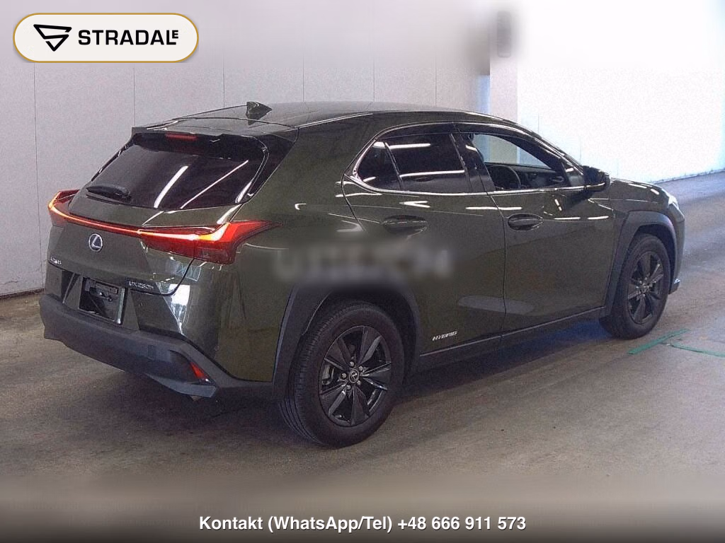 LEXUS UX UX250H VERSION C, miniaturka 6