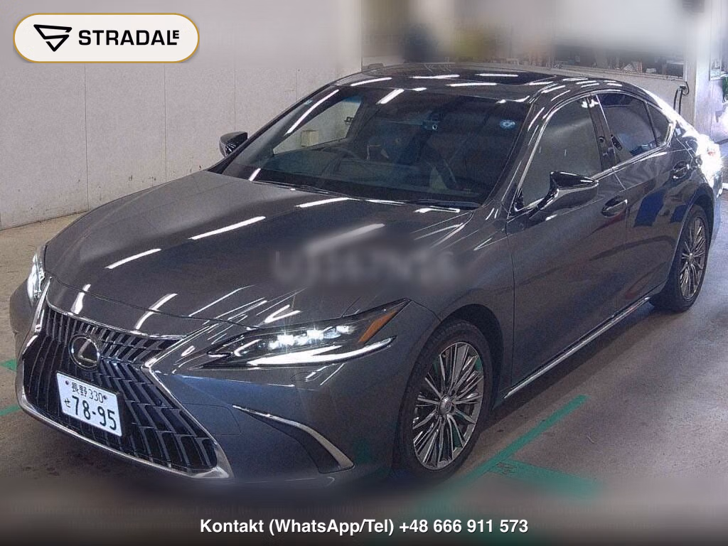 LEXUS ES ES300H VERSION L, miniaturka 5