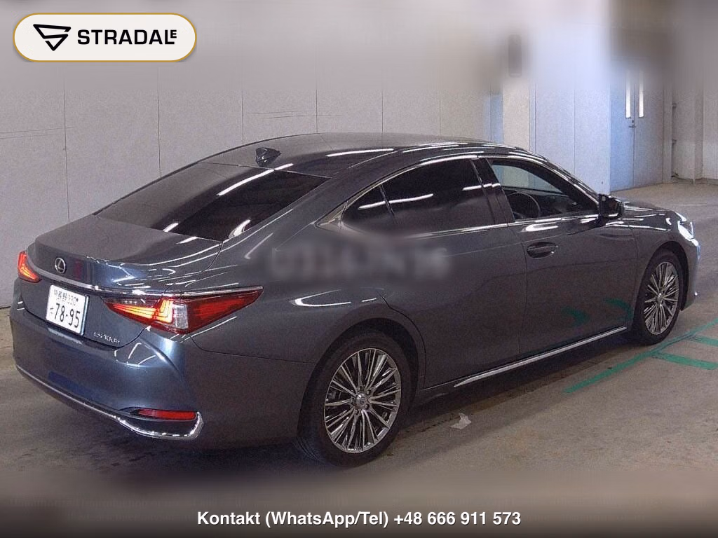 LEXUS ES ES300H VERSION L, miniaturka 6