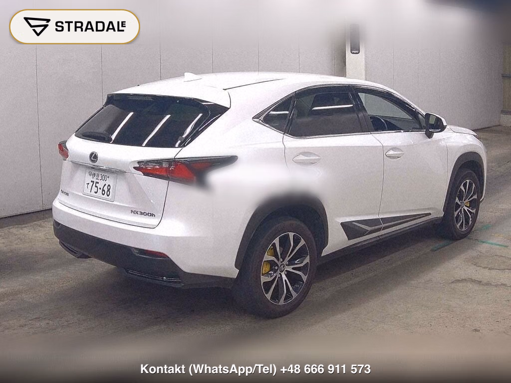 LEXUS NX NX300H I PACKAGE, miniaturka 6