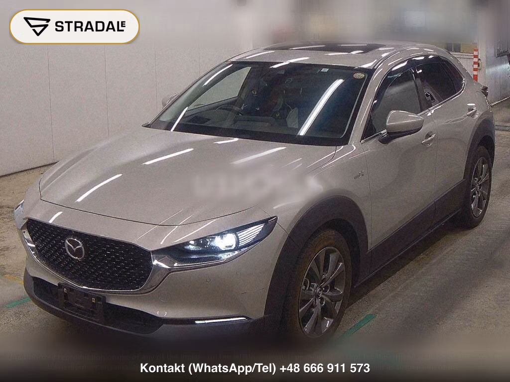MAZDA CX-30 4WD X L PACKAGE, miniaturka 5