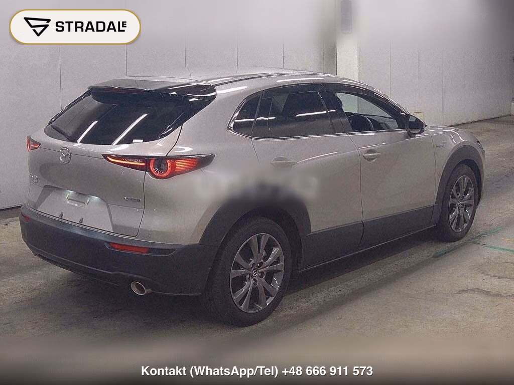 MAZDA CX-30 4WD X L PACKAGE, miniaturka 6