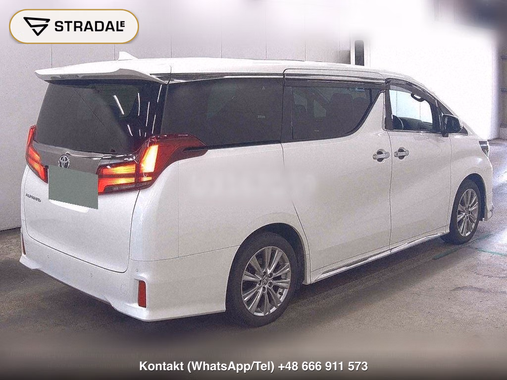 TOYOTA ALPHARD S TYPE GOLDⅢ, miniaturka 6