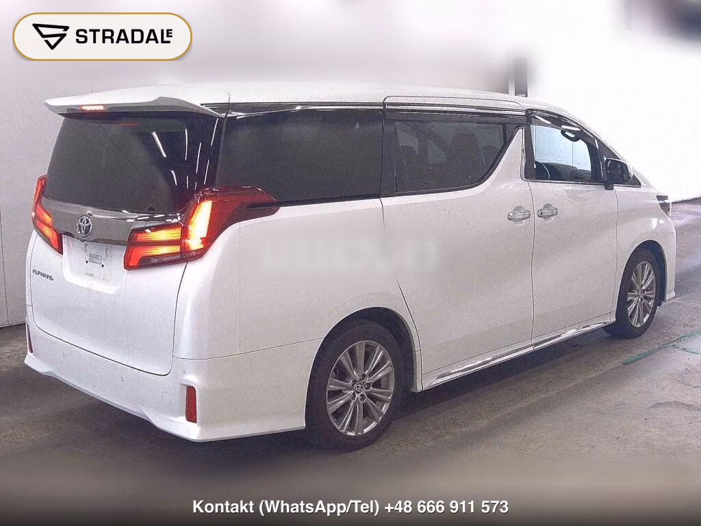 TOYOTA ALPHARD 2.5S TYPE GOLD, miniaturka 6