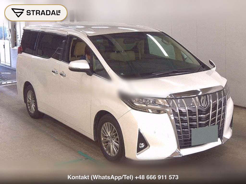 TOYOTA ALPHARD 2.5G, miniaturka 2