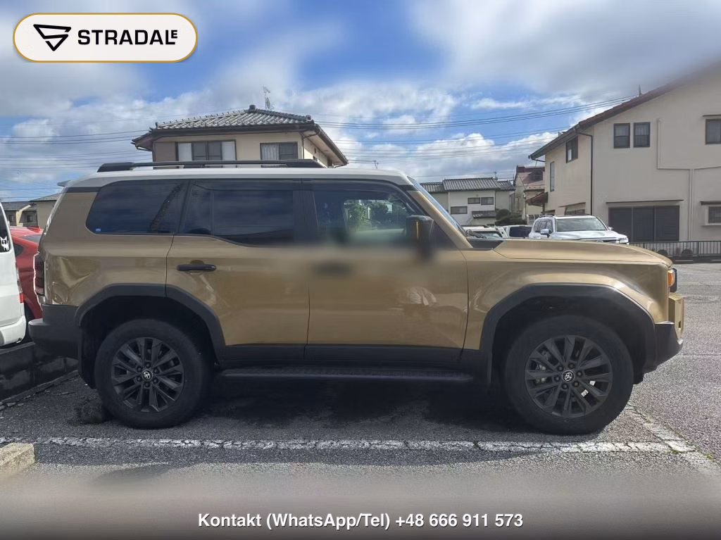 TOYOTA LAND CRUISER 250 4WD ZX, miniaturka 9