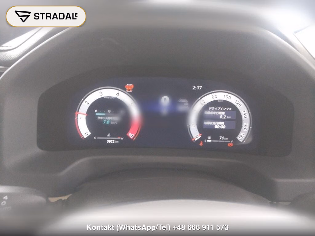 TOYOTA LAND CRUISER 4WD ZX, miniaturka 7