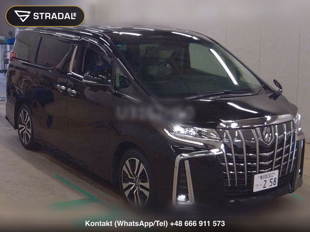 TOYOTA ALPHARD 2.5S C PACKAGE, miniaturka 2
