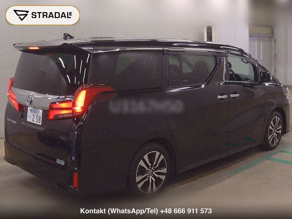 TOYOTA ALPHARD 2.5S C PACKAGE, miniaturka 6