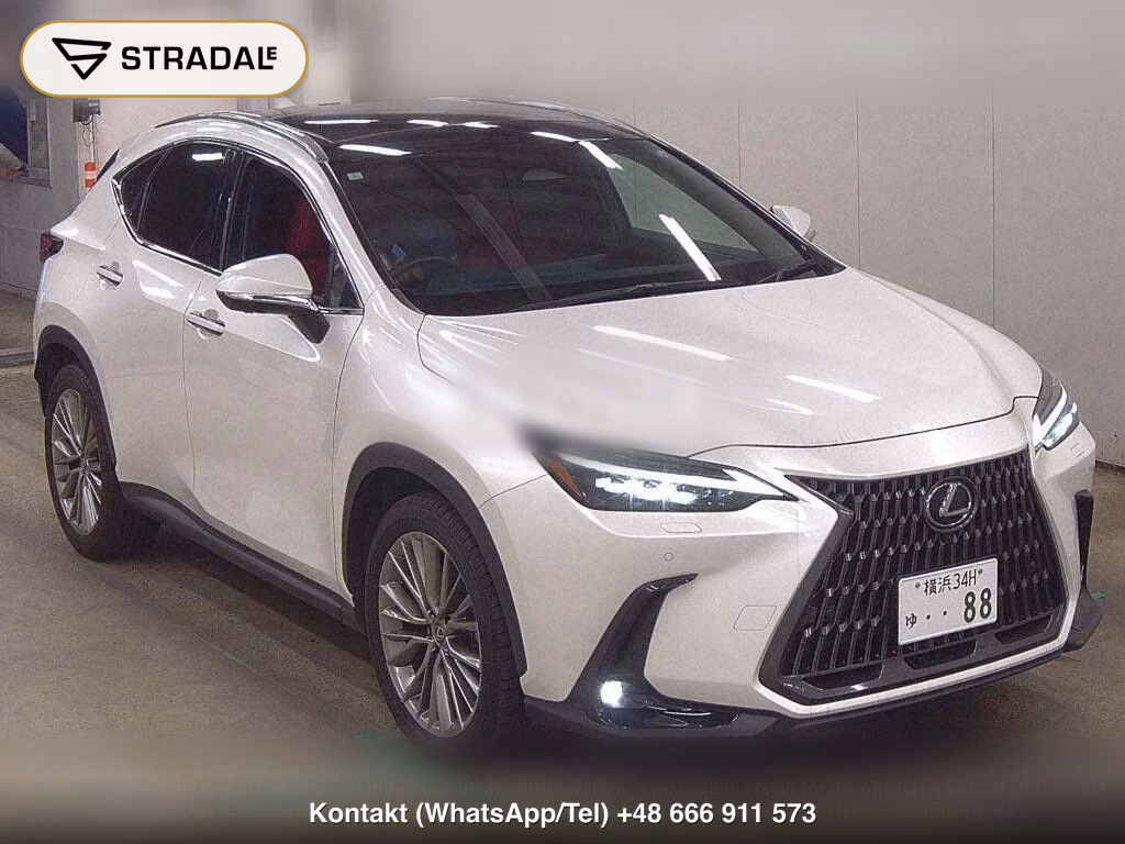 LEXUS NX NX250 VERSION L, miniaturka 2