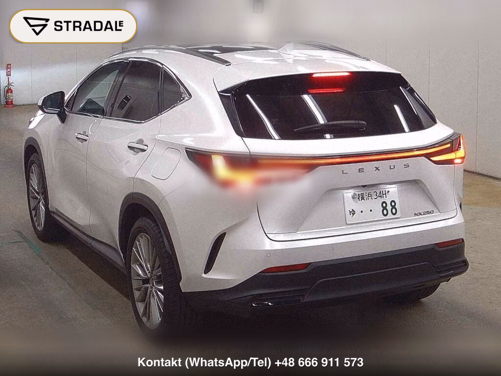 LEXUS NX NX250 VERSION L, miniaturka 3