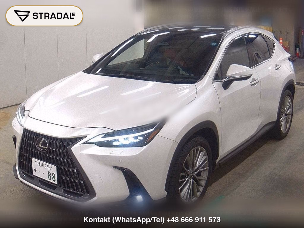 LEXUS NX NX250 VERSION L, miniaturka 5