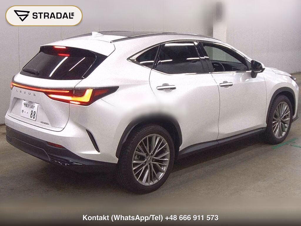 LEXUS NX NX250 VERSION L, miniaturka 6