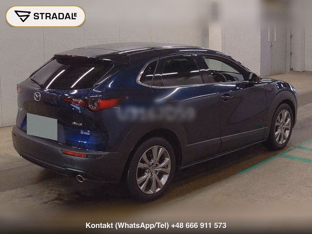 MAZDA CX-30 20S PROACTIVE TOURING SELECTION, miniaturka 6