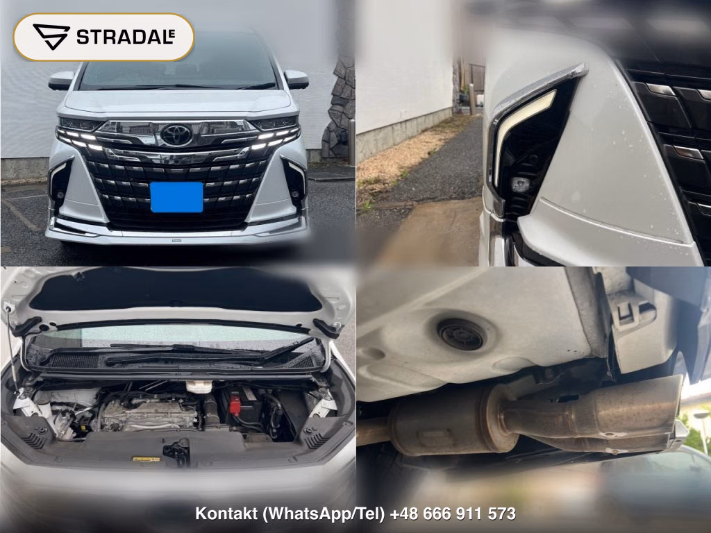 TOYOTA ALPHARD Z, miniaturka 9