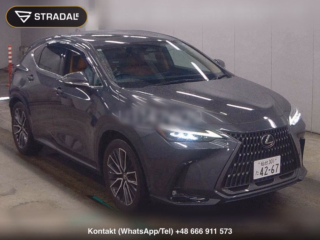 LEXUS NX NX250 VERSION L, miniaturka 2