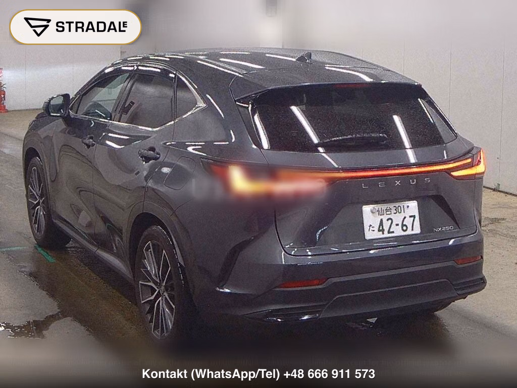 LEXUS NX NX250 VERSION L, miniaturka 3