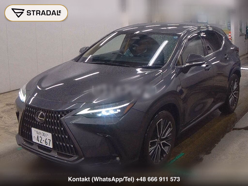 LEXUS NX NX250 VERSION L, miniaturka 5