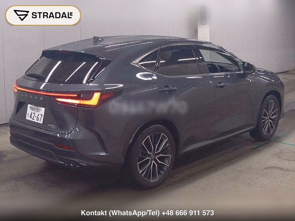 LEXUS NX NX250 VERSION L, miniaturka 6