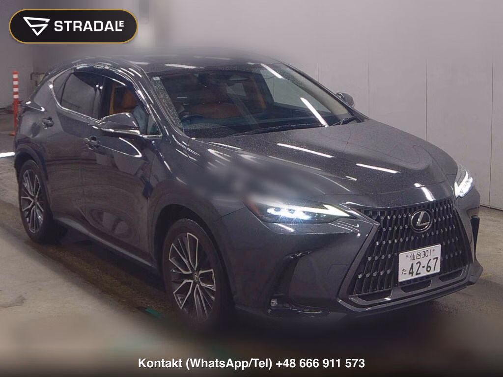 LEXUS NX NX250 VERSION L 2022, aukcja z Japonii, zdjęcie 1