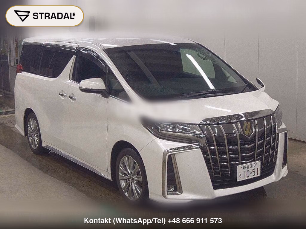 TOYOTA ALPHARD 2.5S TYPE GOLD, miniaturka 2